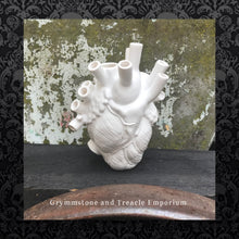 Anatomical Heart Vases