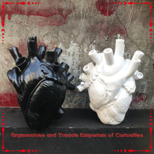 Anatomical Heart Vases