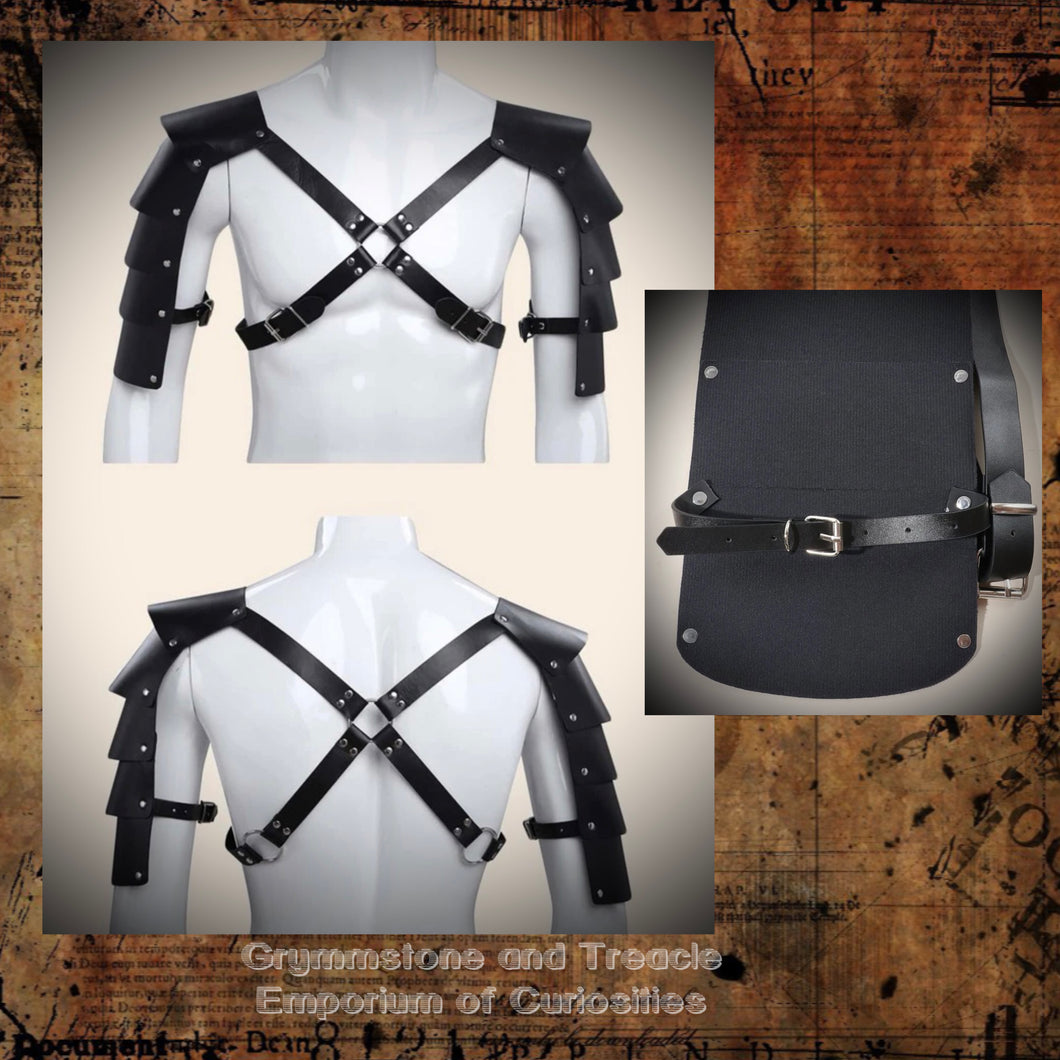 Shoulder Armour Harness